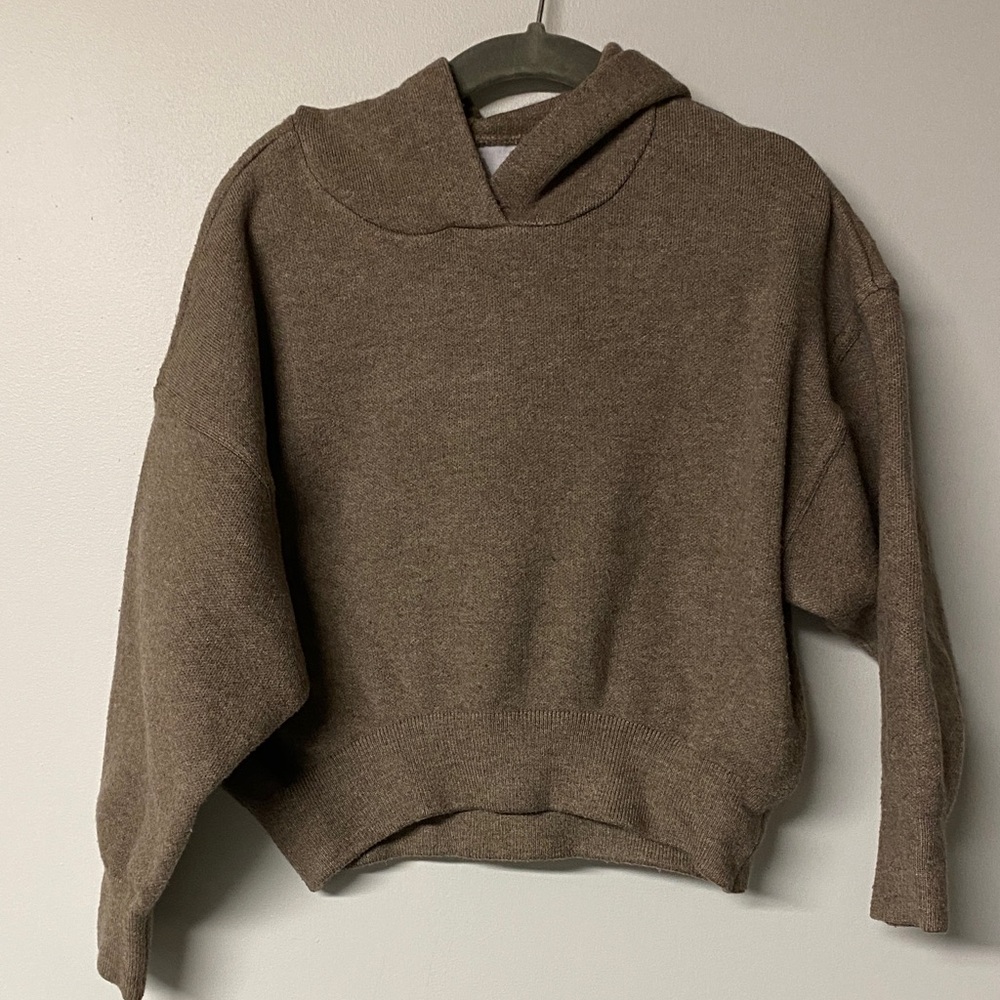 ZARA Kids Brown Fall Hoodie